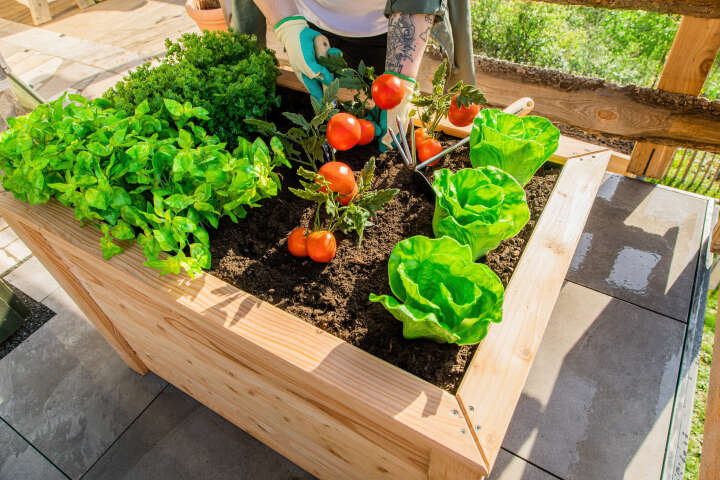 WESTMANN Hochbeet Klassik